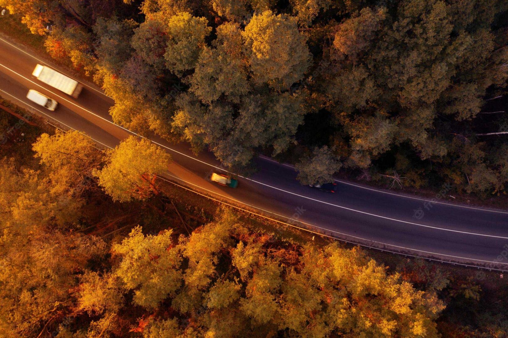 A car driving down the road in the middle of a forest.